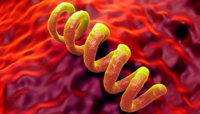 Prévention et prise en charge de la syphilis chez les femmes enceintes et en périnatalité